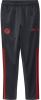 Adidas Kids adidas Bayern München Trainingsbroek 2022 2023 Kids Grijs online kopen